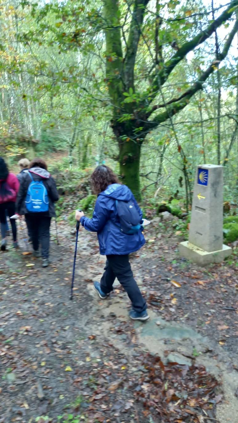 Fotos: IV Marcha Camino de Invierno