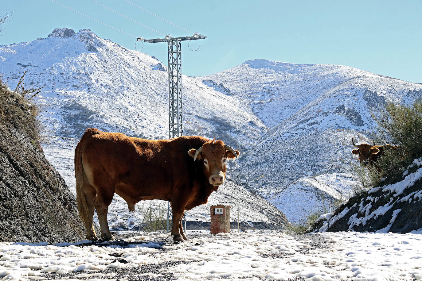 La primera nevada de la temporada cubre cumbres y valles en la comarca de la Tercia.