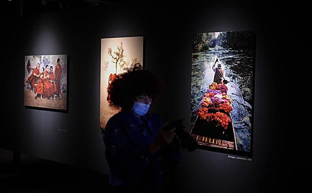 Imagen principal - Exposición de Steve McCurry