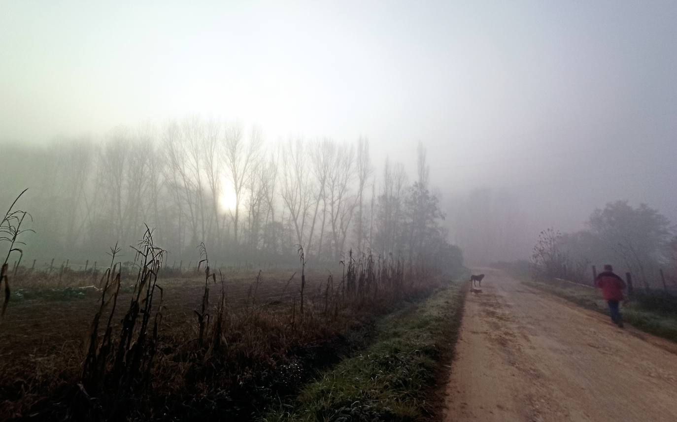 La comarca despierta con una intensa niebla este miércoles.