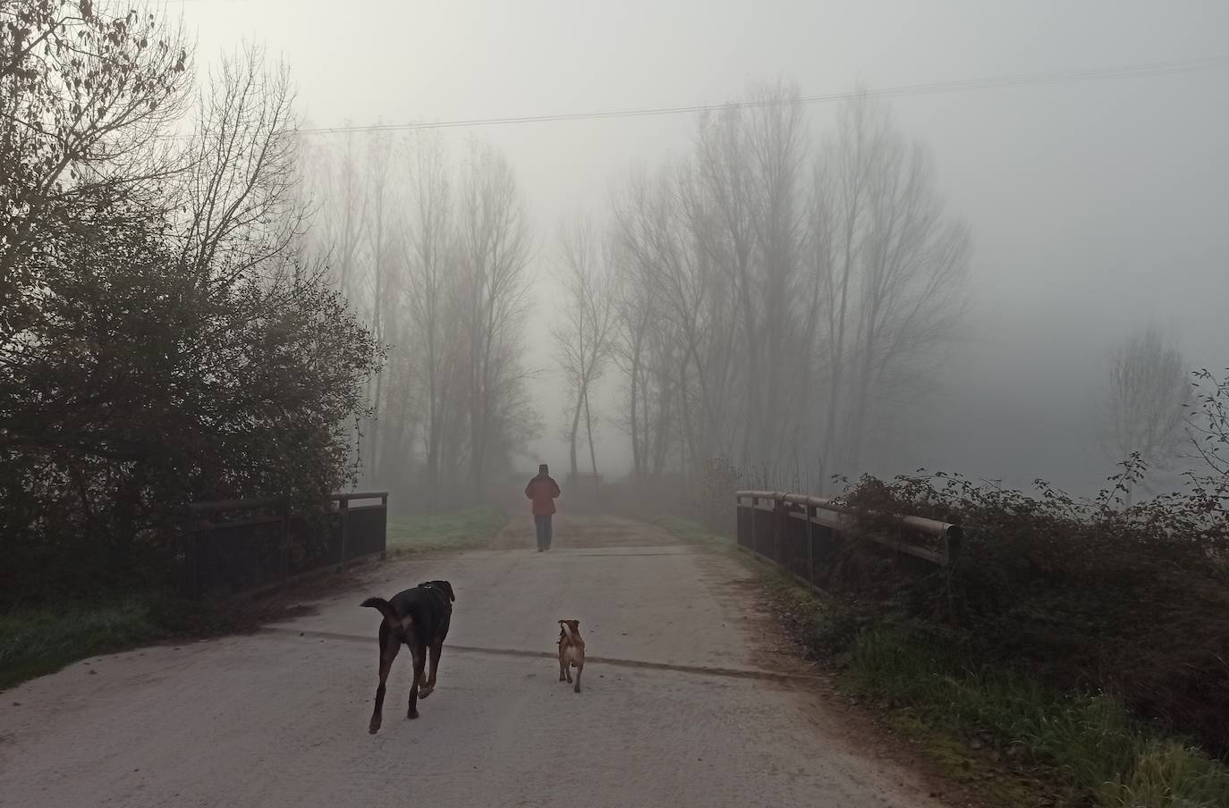 La comarca despierta con una intensa niebla este miércoles.