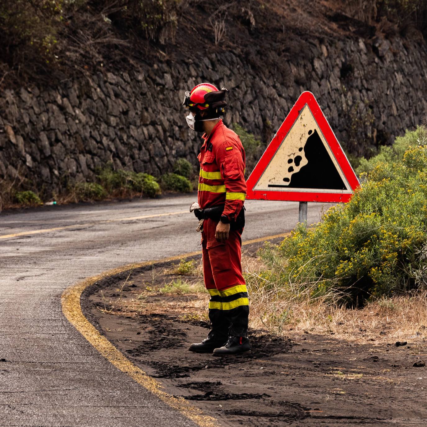 Equipo de la Ume desarrollando trabajos en la isla de Palma.