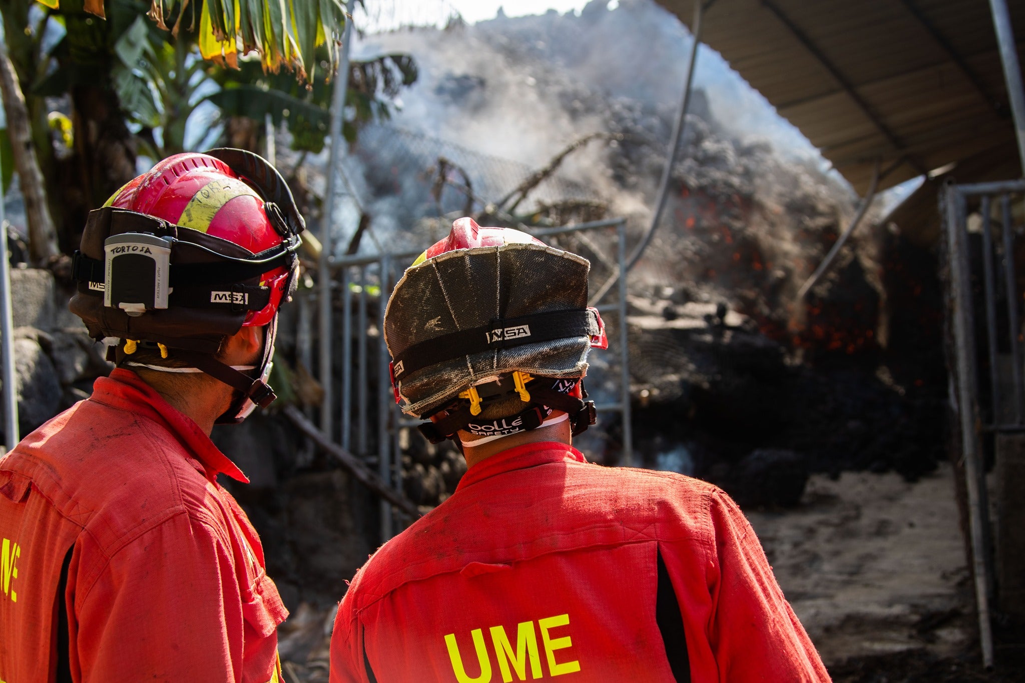 Equipo de la Ume desarrollando trabajos en la isla de Palma.