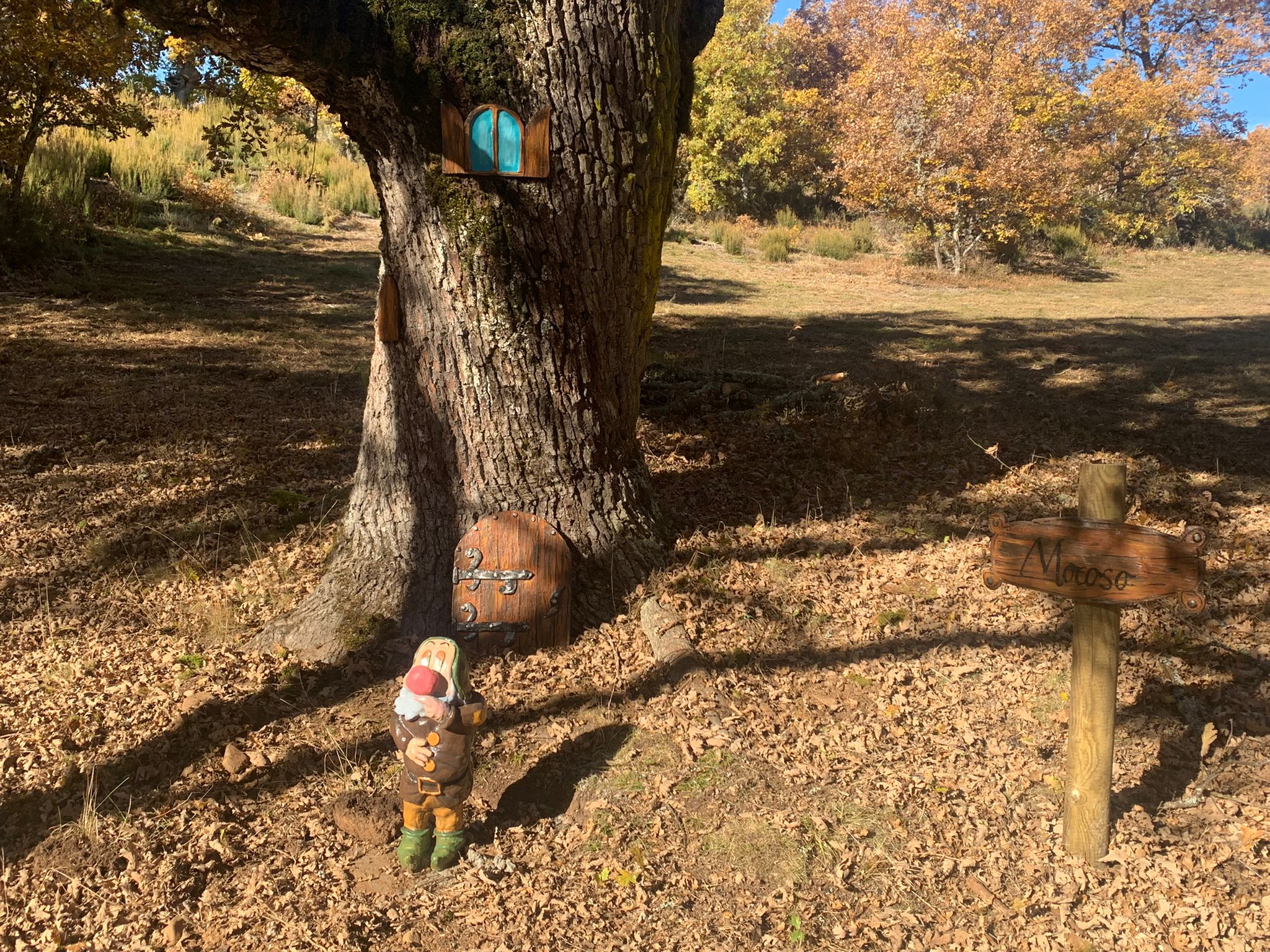 Moscoso, Sabio, Feliz, Gruñón, Tímido, Dormilón y Mudito dan vida al 'Bosque de los enanitos' en la localidad de Almanza | El éxito ha sido tal que las reservas en los establecimientos de la zona se agotan con dos semanas de antelación. 