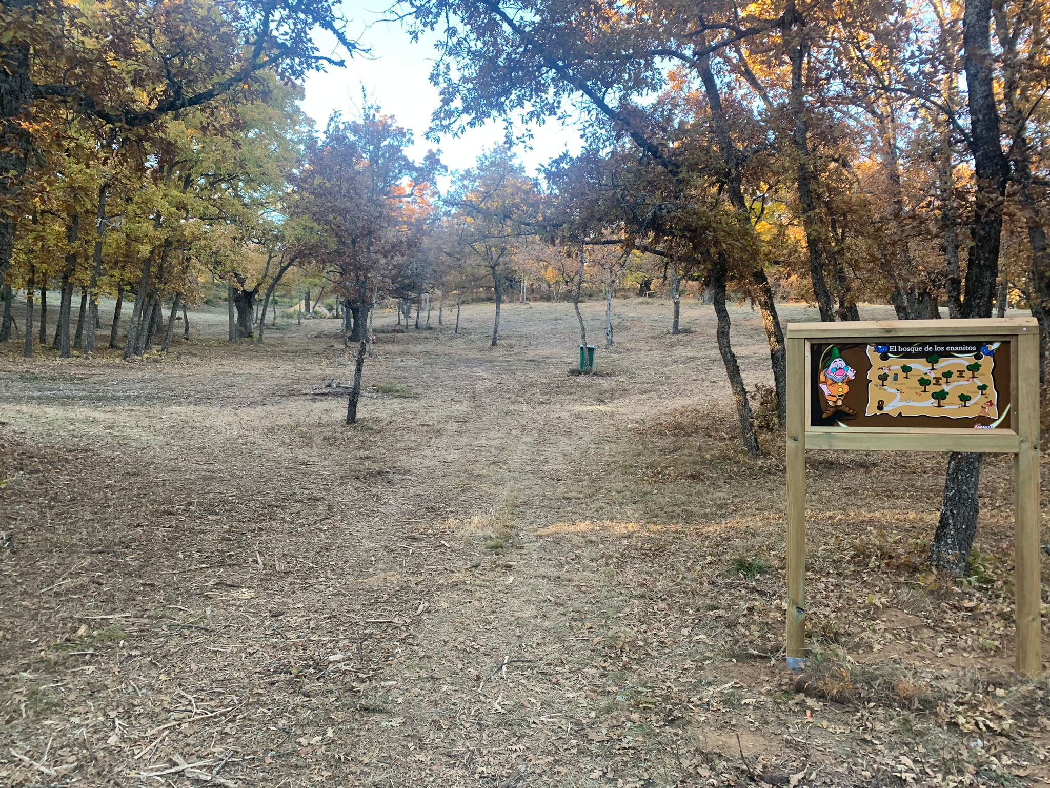 Moscoso, Sabio, Feliz, Gruñón, Tímido, Dormilón y Mudito dan vida al 'Bosque de los enanitos' en la localidad de Almanza | El éxito ha sido tal que las reservas en los establecimientos de la zona se agotan con dos semanas de antelación. 