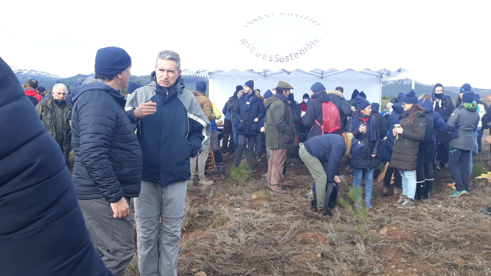 Decenas de personas participan en la plantación de árboles en el área arrasada por el incendio de Castrocontrigo.