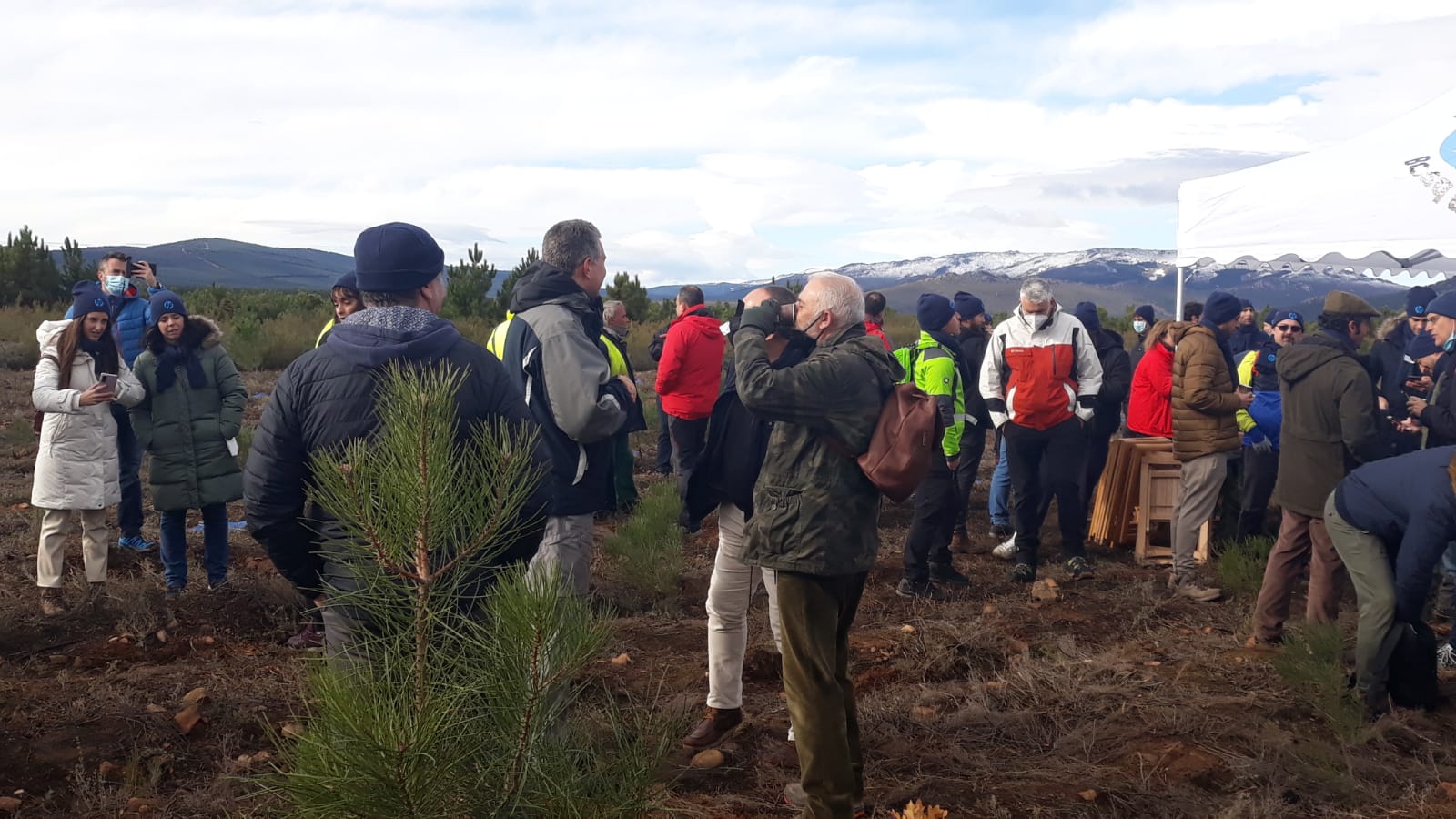 Decenas de personas participan en la plantación de árboles en el área arrasada por el incendio de Castrocontrigo.