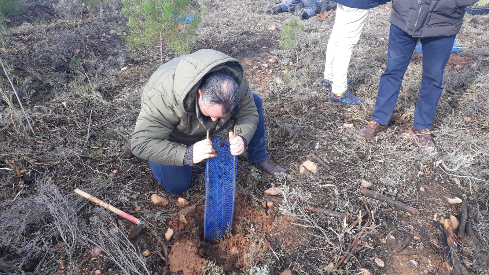 Decenas de personas participan en la plantación de árboles en el área arrasada por el incendio de Castrocontrigo.