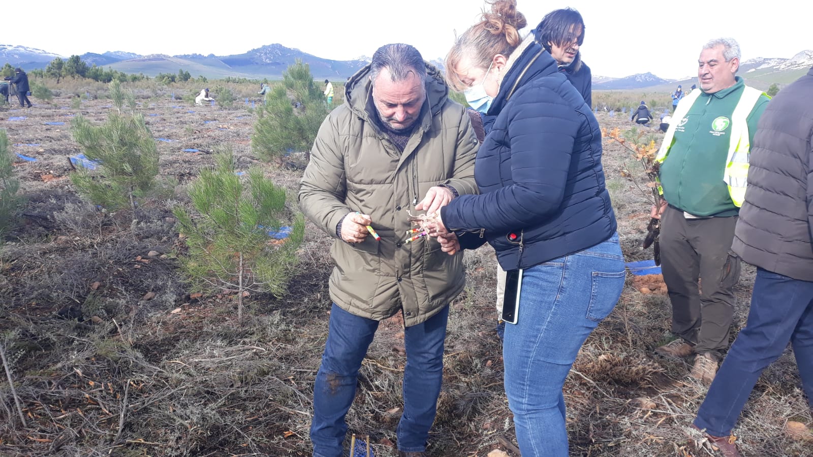 Decenas de personas participan en la plantación de árboles en el área arrasada por el incendio de Castrocontrigo.