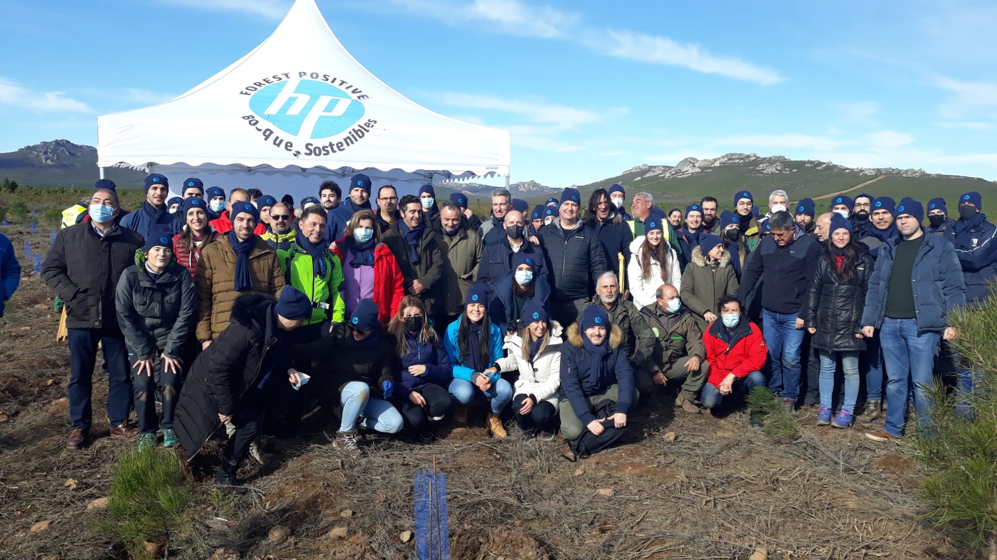 Decenas de personas participan en la plantación de árboles en el área arrasada por el incendio de Castrocontrigo.