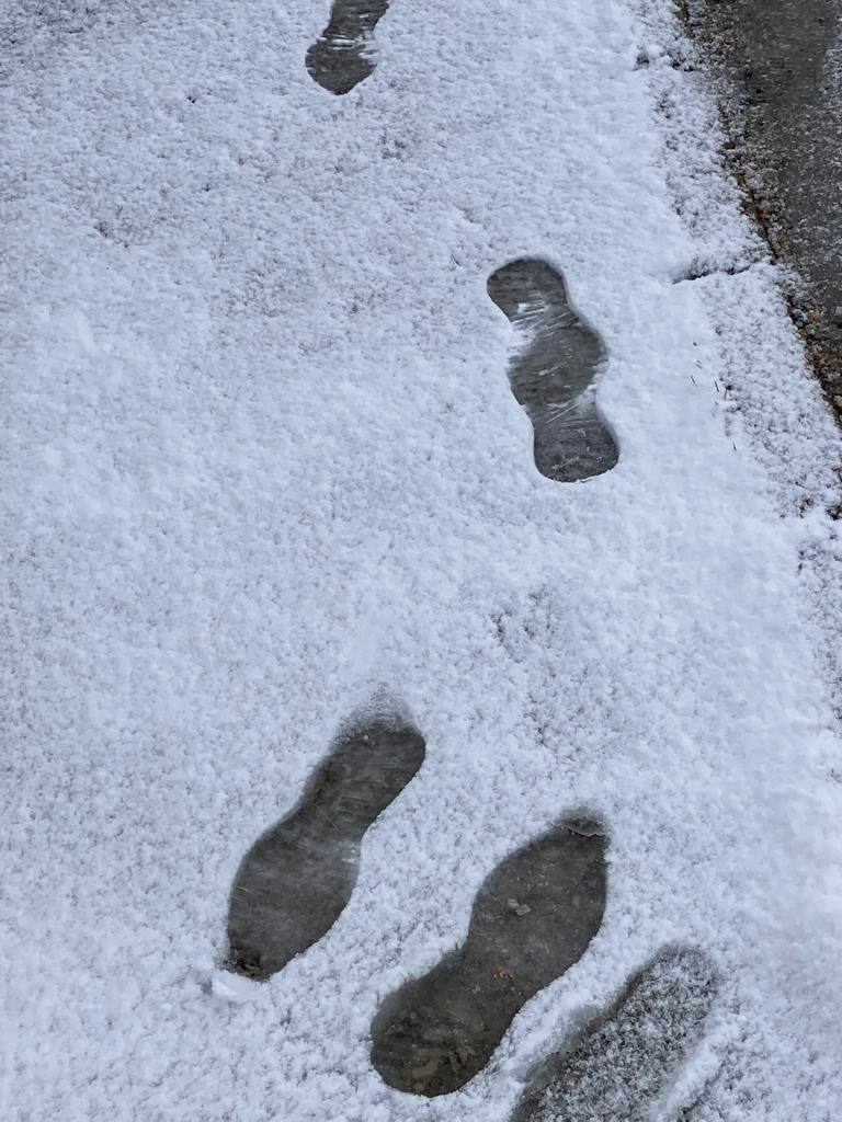 Fotos: Los primeros copos de nieve en León