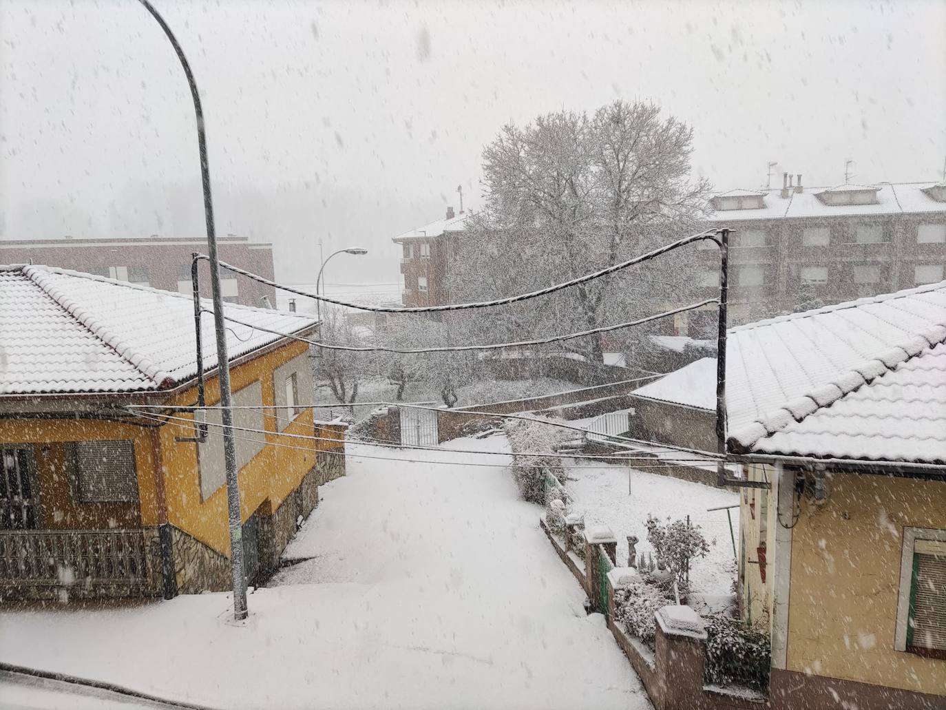 El temporal 'Arwen' deja estampas invernales en toda la provincia con precipitaciones de nieve en muchas comarcas leonesas.