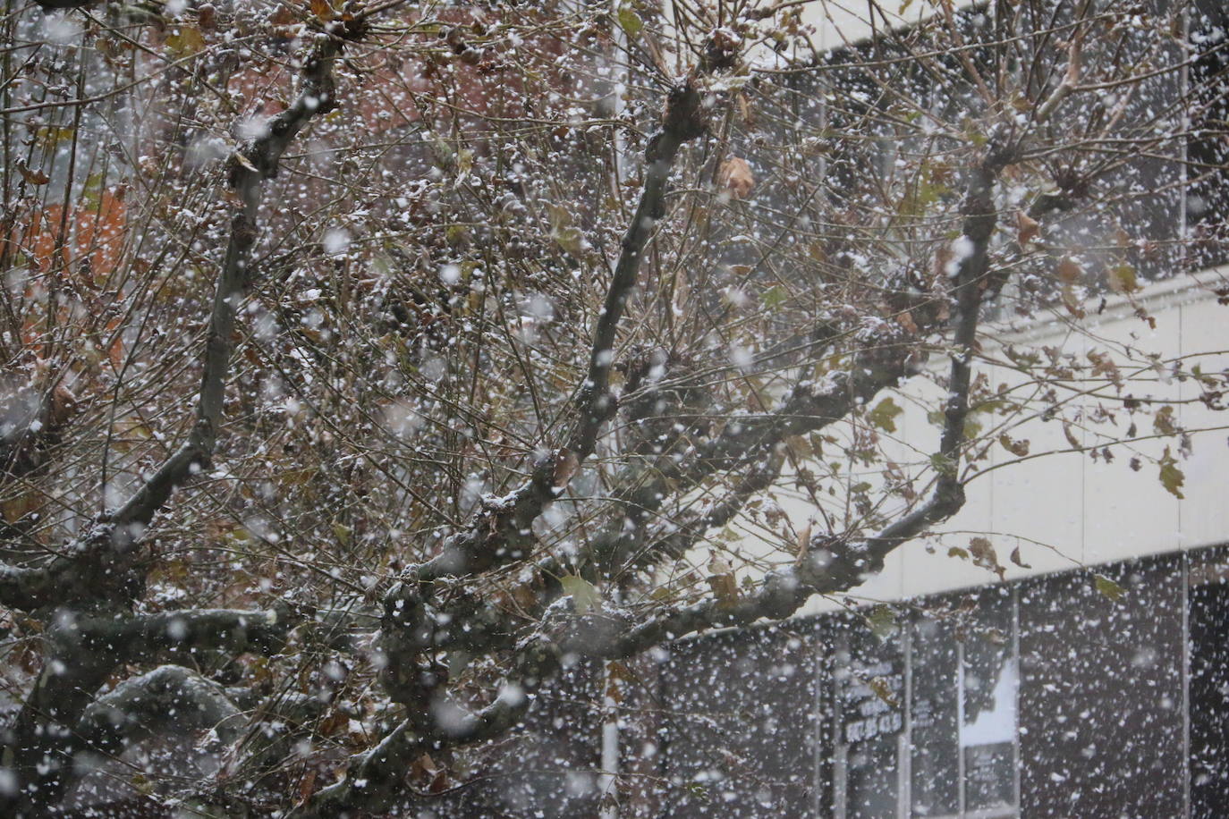 El temporal 'Arwen' llega a la capital con una fuerte nevada que deja las primera bonitas estampas en la ciudad