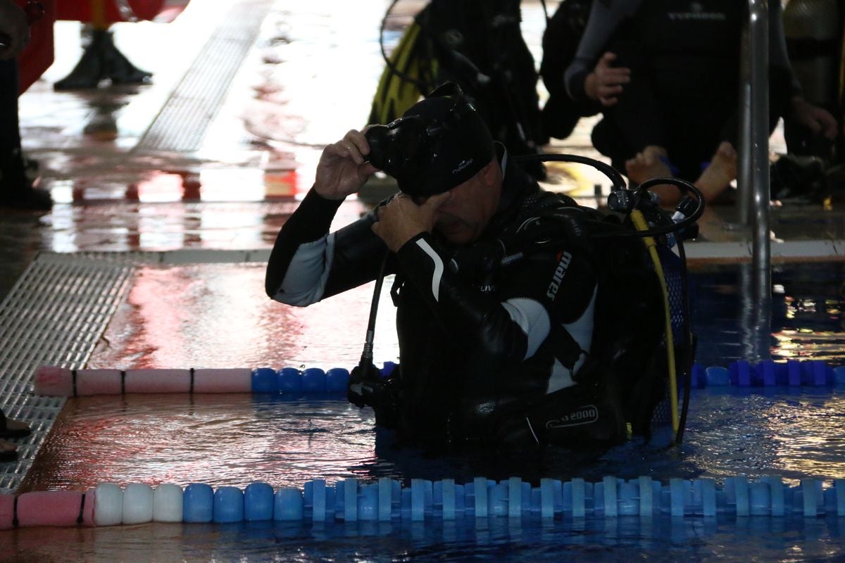 La piscina municipal de Carbajal de la Legua acoge el Campeonato de España de Buceo de Competición.