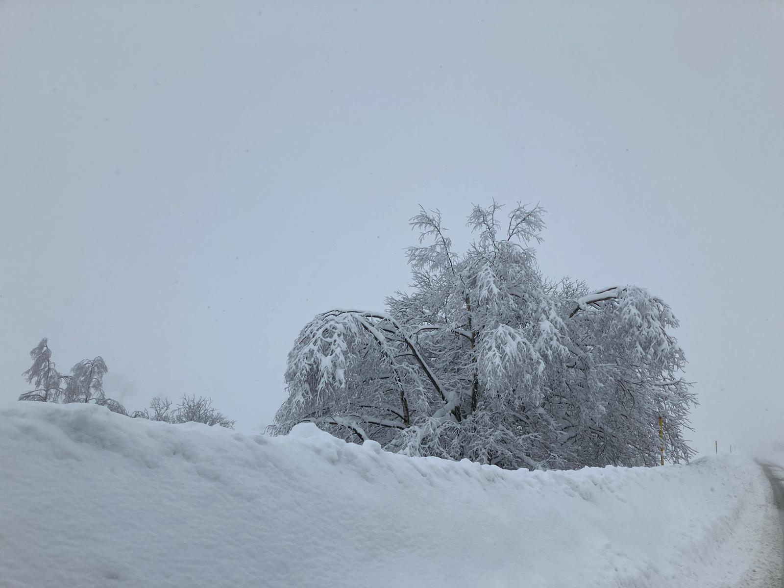 La comunicación de León con Asturias por la nacional deja una estampa invernal con un grueso manto de nieve. 