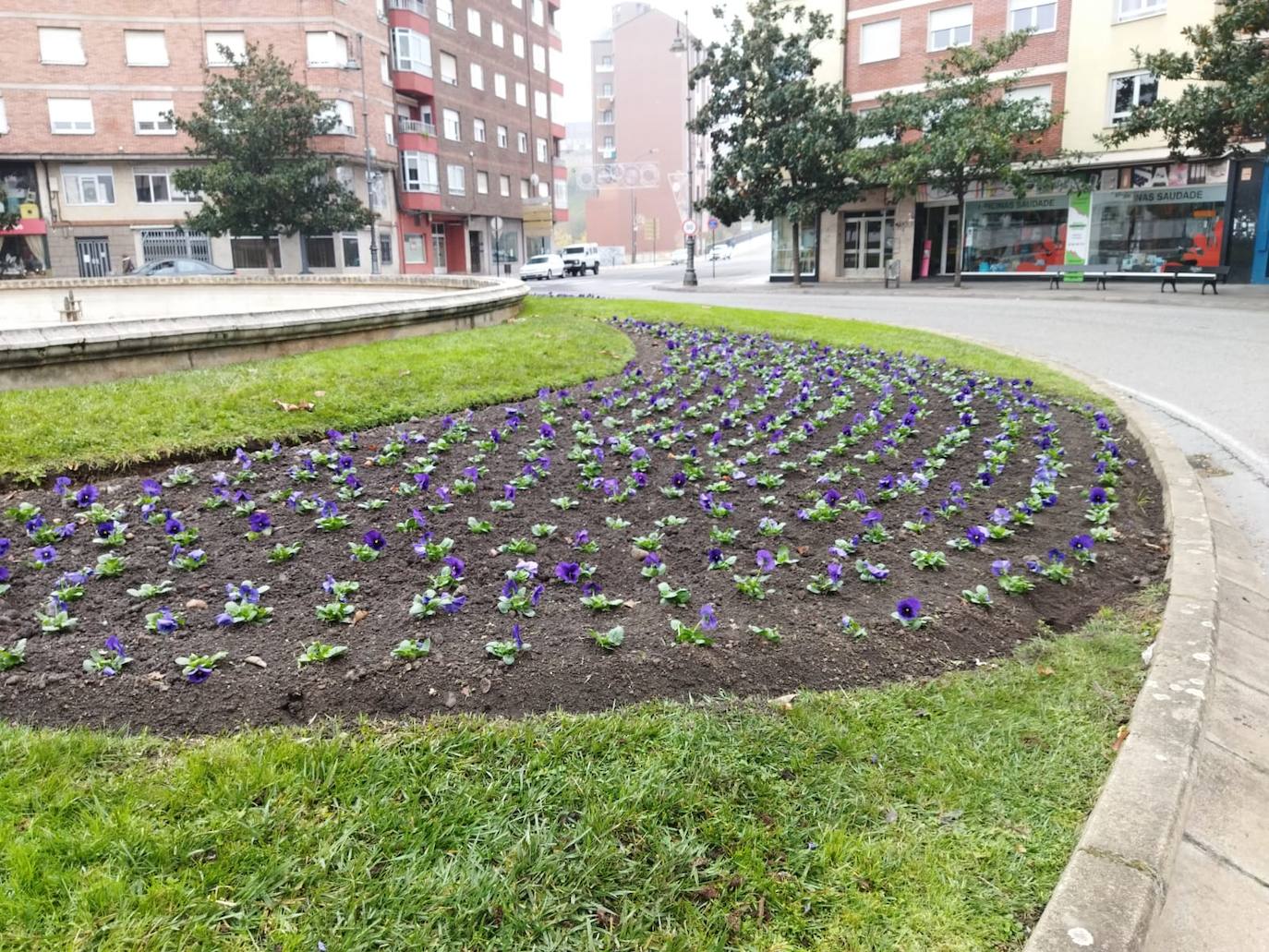 Plantación de flores en la glorieta de República Argentina.