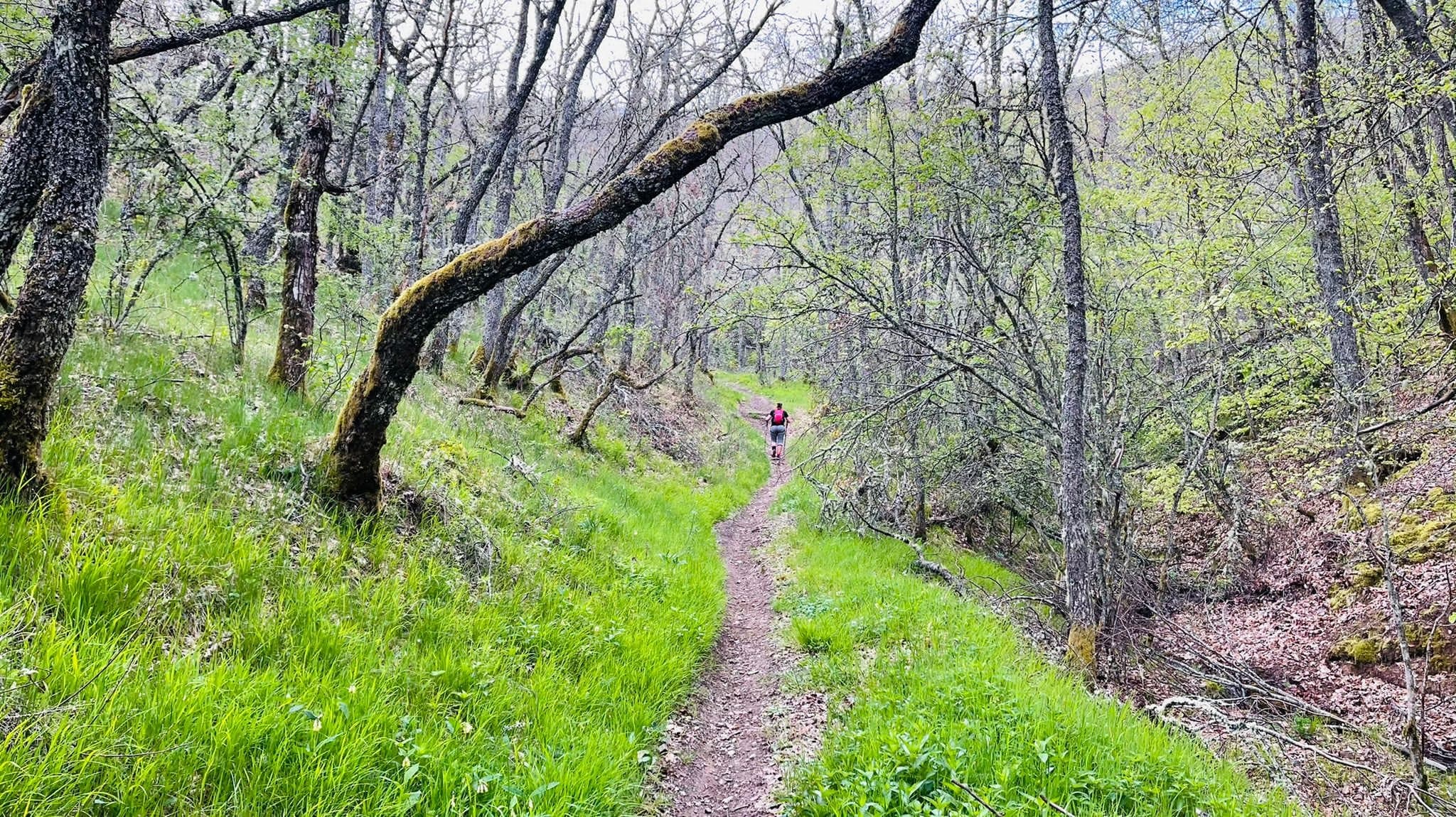 Varios amigos lideran una iniciativa que ha permitido a los amantes del trail disfrutar del entorno del valle de Gordón.
