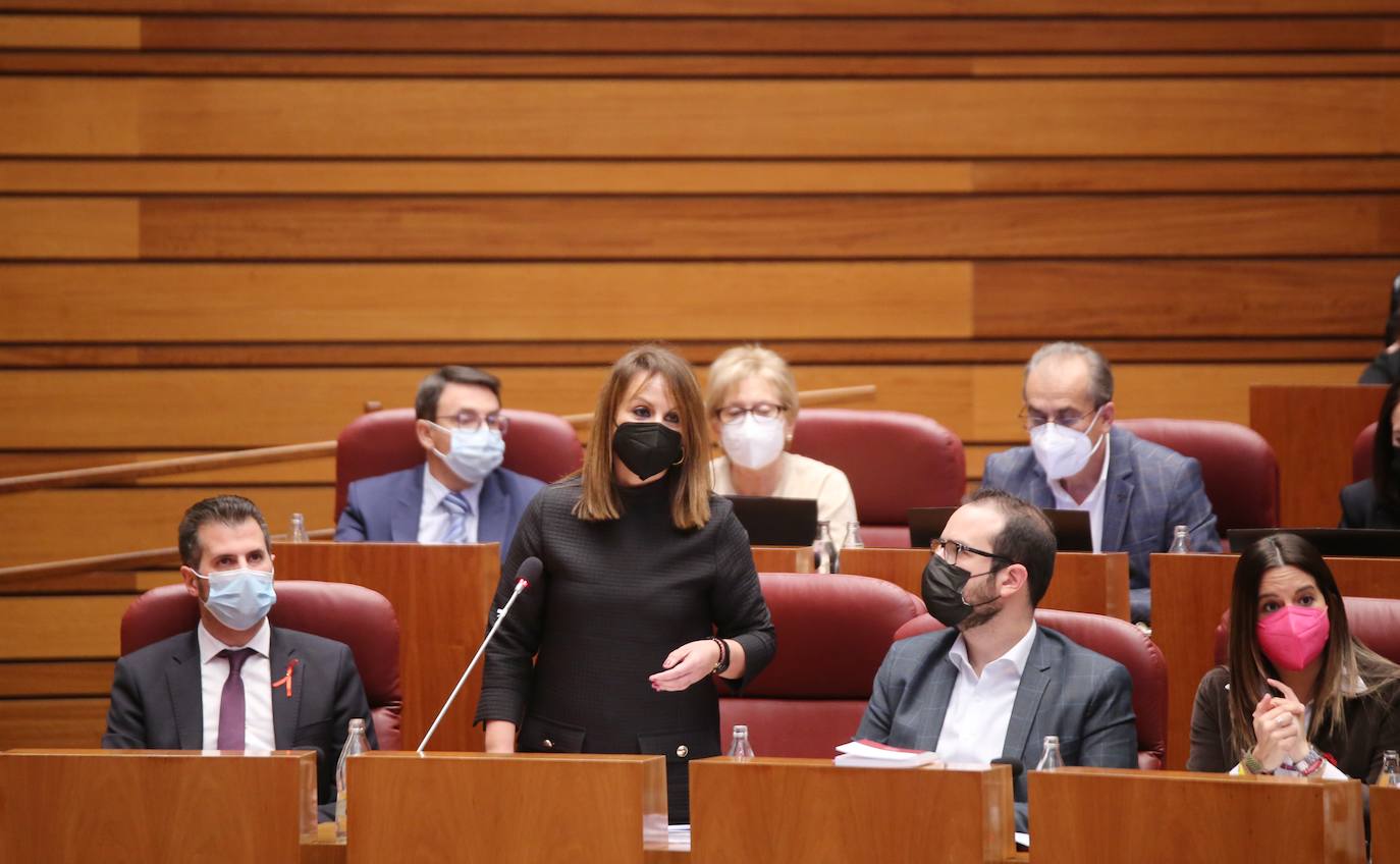 El presidente de ja Junta, Alfonso Fernández Mañueco, y el vicepresidente, Francisco Igea, durante el Pleno de las Cortes junto a otros procuradores.