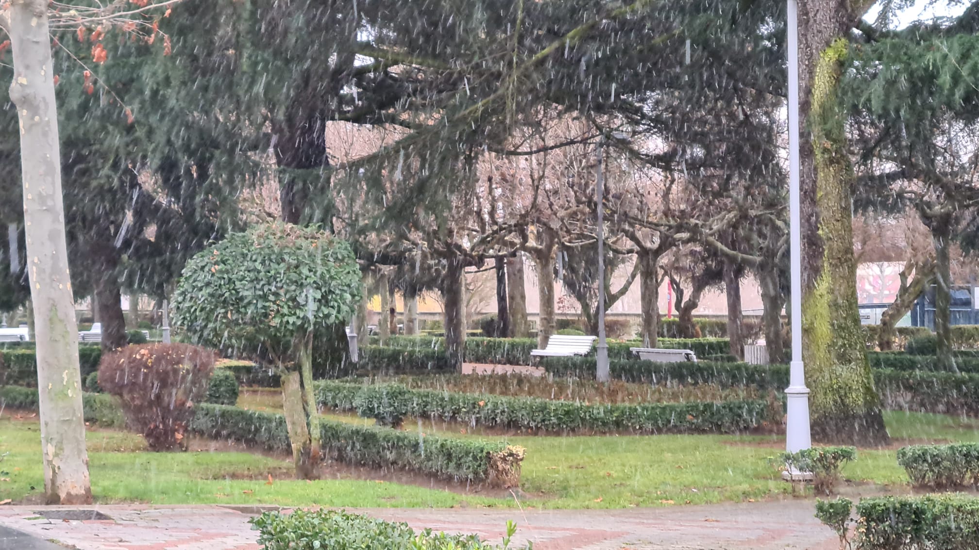 Una ligera nevada sacude la mañana donde el suelo mojado impide que permanezca.