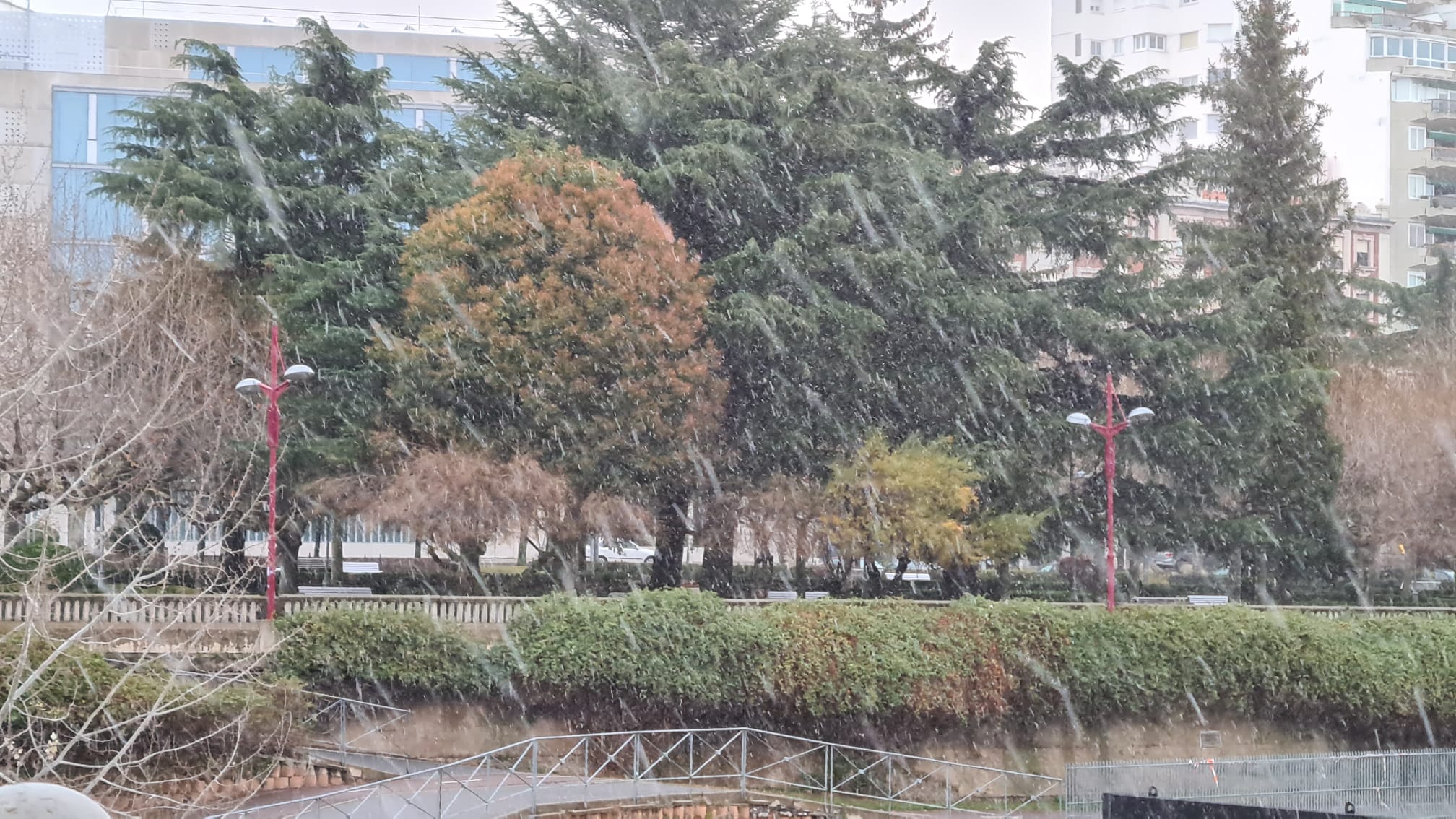 Una ligera nevada sacude la mañana donde el suelo mojado impide que permanezca.