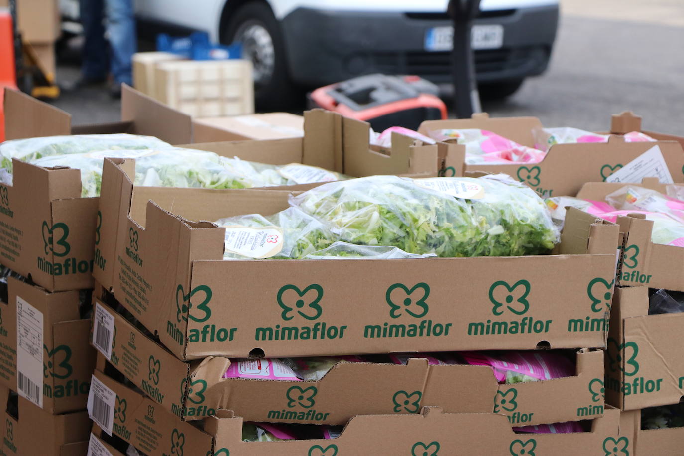 Desde el Banco de Alimentos de León señalan al sistema de donativos en caja como una de las causas de la disminución casi un 50% de lo recaudado respecto a 2020 y a la aparente 'nueva normalidad' que no es tal | Más de 1.000 familias se beneficiarán de estas donaciones fundamentales en fechas navideñas.