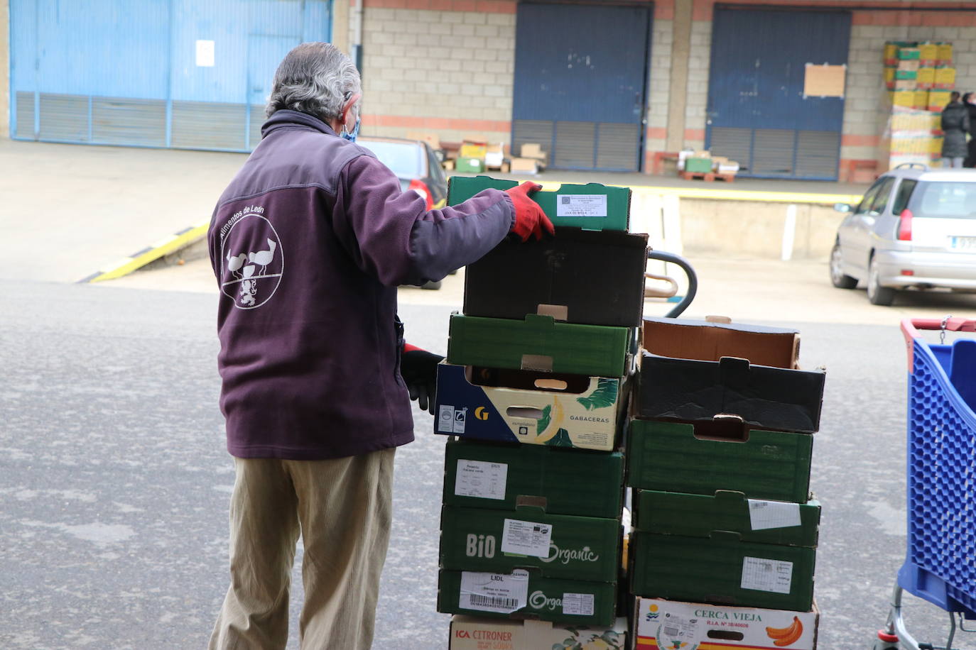 Desde el Banco de Alimentos de León señalan al sistema de donativos en caja como una de las causas de la disminución casi un 50% de lo recaudado respecto a 2020 y a la aparente 'nueva normalidad' que no es tal | Más de 1.000 familias se beneficiarán de estas donaciones fundamentales en fechas navideñas.