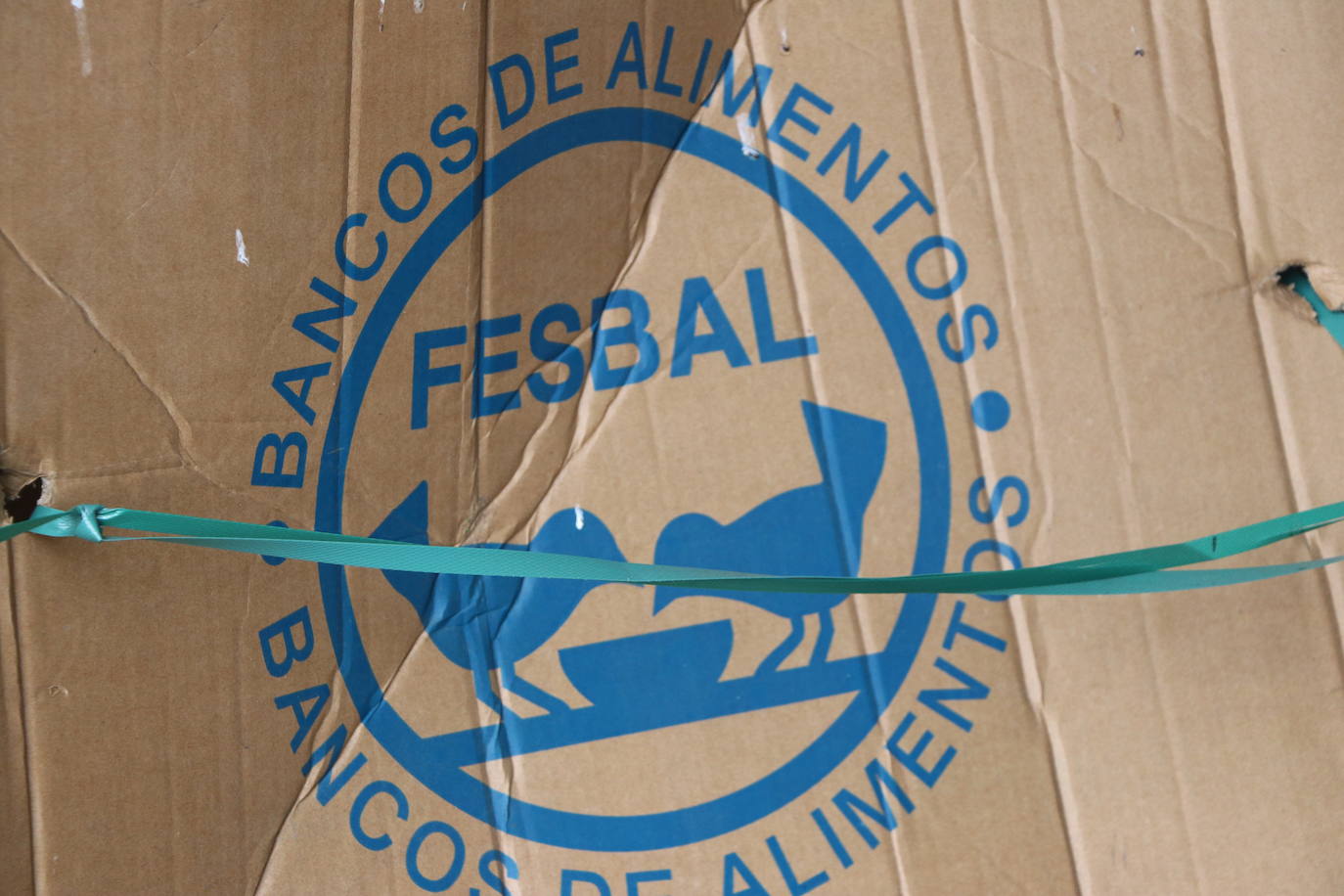 Desde el Banco de Alimentos de León señalan al sistema de donativos en caja como una de las causas de la disminución casi un 50% de lo recaudado respecto a 2020 y a la aparente 'nueva normalidad' que no es tal | Más de 1.000 familias se beneficiarán de estas donaciones fundamentales en fechas navideñas.