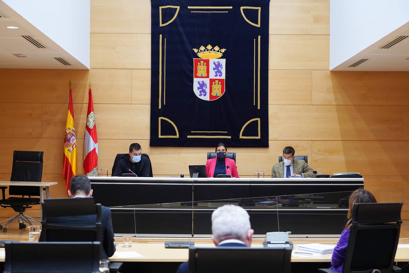 Comisión de investigación de las Cortes sobre las eólicas con las comparecencias del responsable de Ibervento, Javier Mozo Herrera, y el secretario general de la Asociación de Promotores de Energía Eólica de Castilla y León (Apecyl), Eugenio García Tejerina.