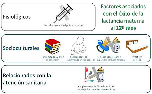 Figura 3: Factores fisiológicos, socioculturales y relacionados con la atención sanitaria que se encuentran asociados con el éxito de la lactancia materna al año de nacimiento.