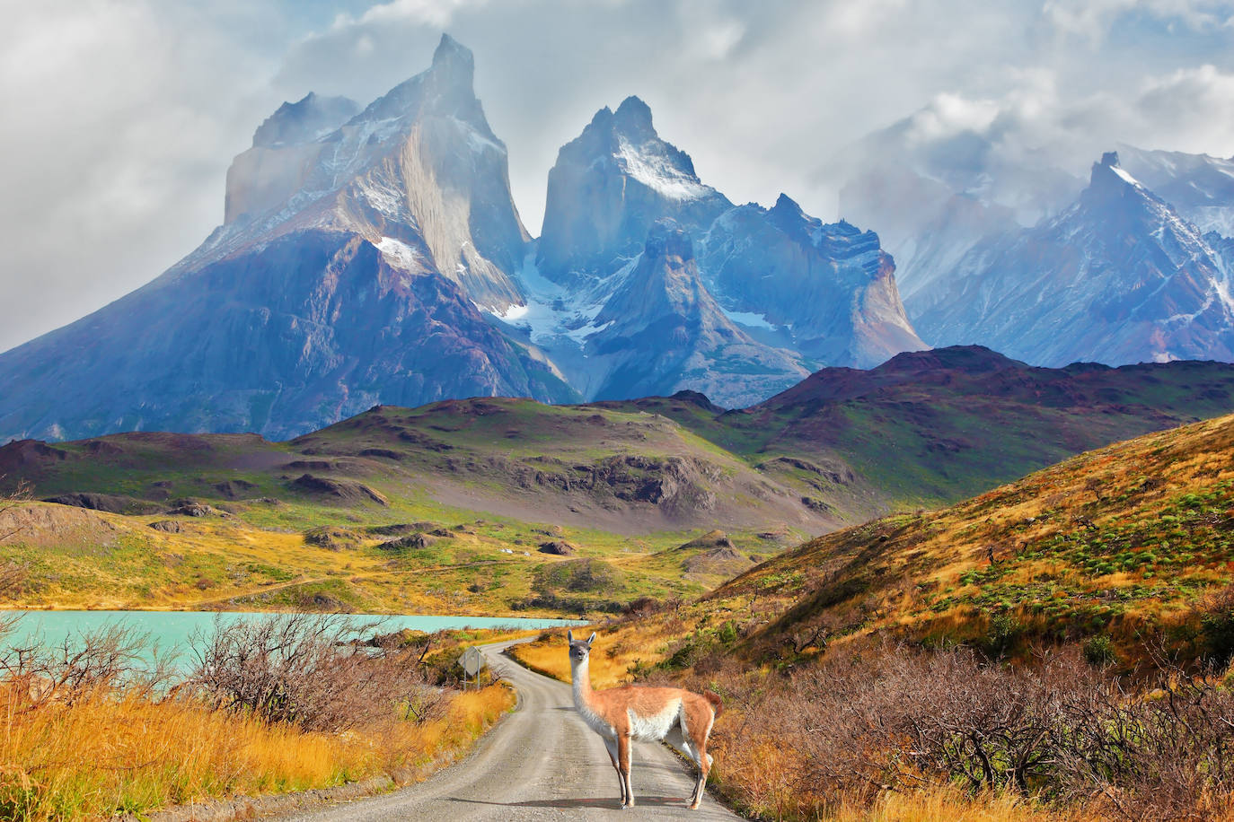 Torres del Paine, Patagonia (Chile).