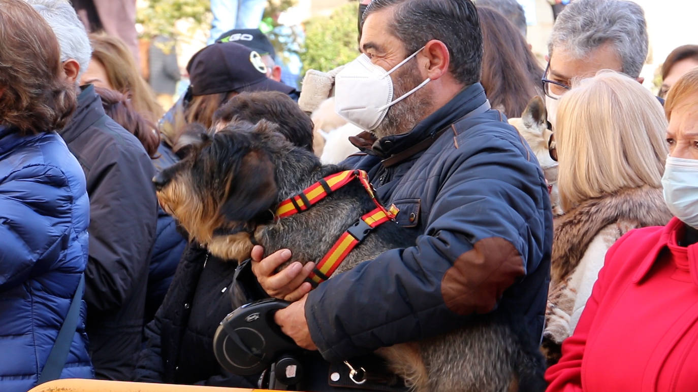 León recupera la tradición más popular de San Antón que el año pasado se canceló por la pandemia | Decenas de animales han recibido en San Marcelo su bendición que en esta ocasión ha sido colectiva desde el Ayuntamiento a pesar del frío y con el abrigo del sol de enero