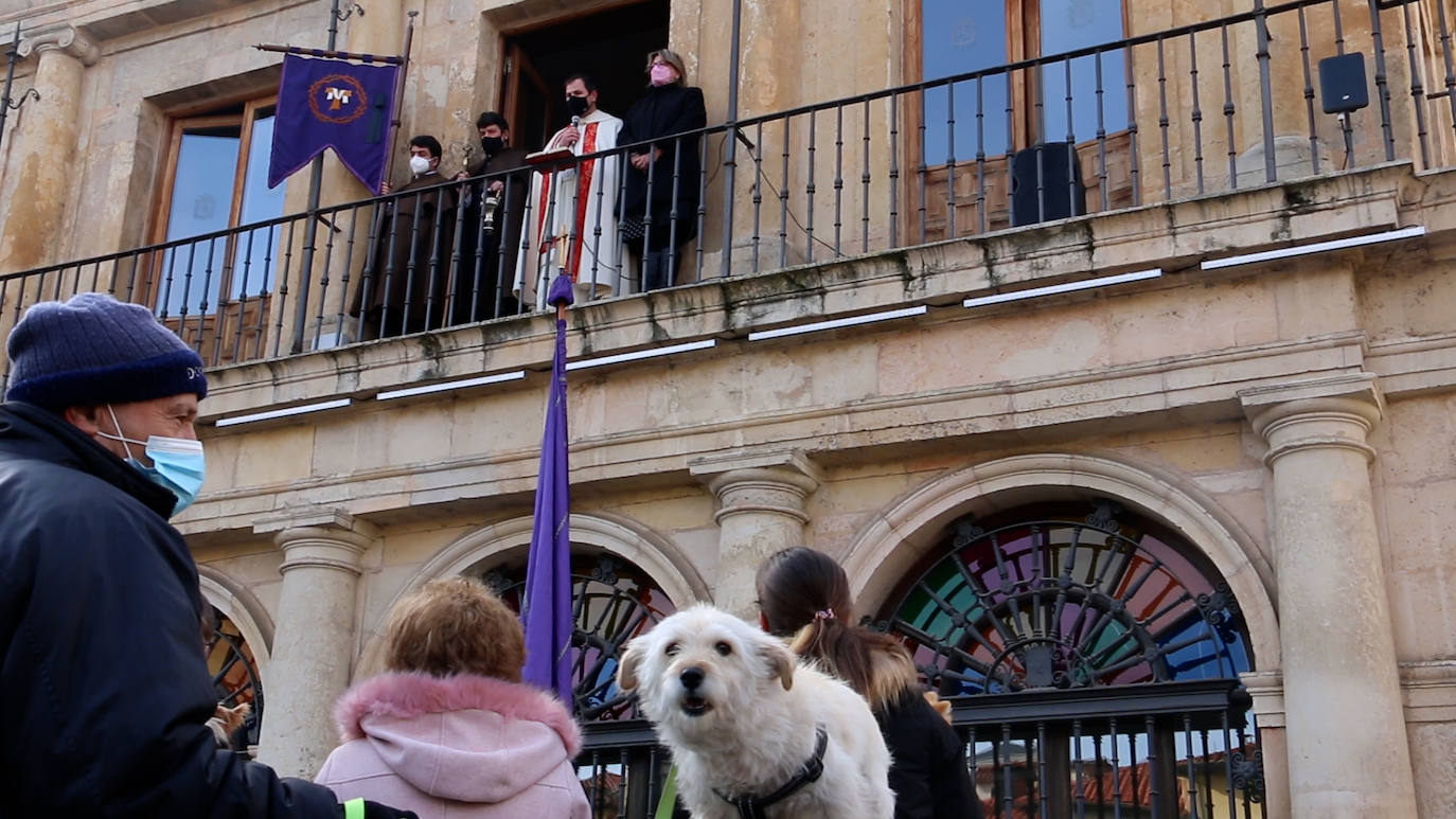 León recupera la tradición más popular de San Antón que el año pasado se canceló por la pandemia | Decenas de animales han recibido en San Marcelo su bendición que en esta ocasión ha sido colectiva desde el Ayuntamiento a pesar del frío y con el abrigo del sol de enero