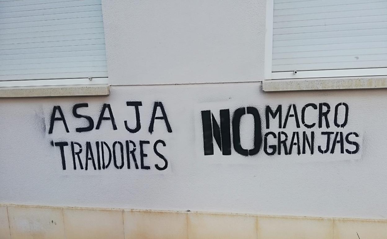 La sede de Asaja en Sahagún amanece con pintadas contra las macrogranjas. 