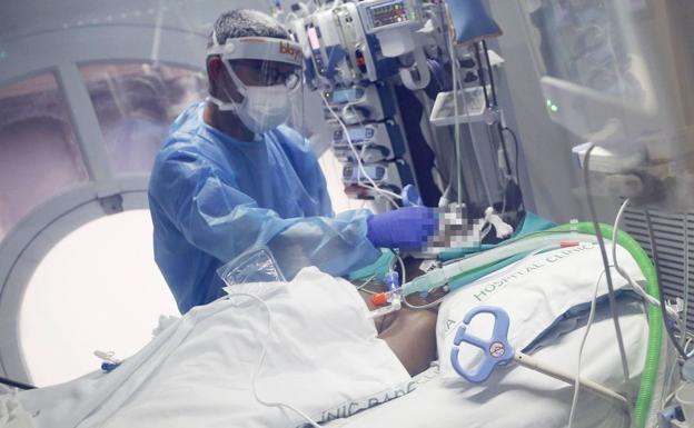 Los pacientes en unidades de críticos preocupan en los hospitales de León. Sanidad mantiene que es a esta provincia a la que más tarde ha llegado la variante omicron. En la imagen, un enfermo covid en una UCI. 