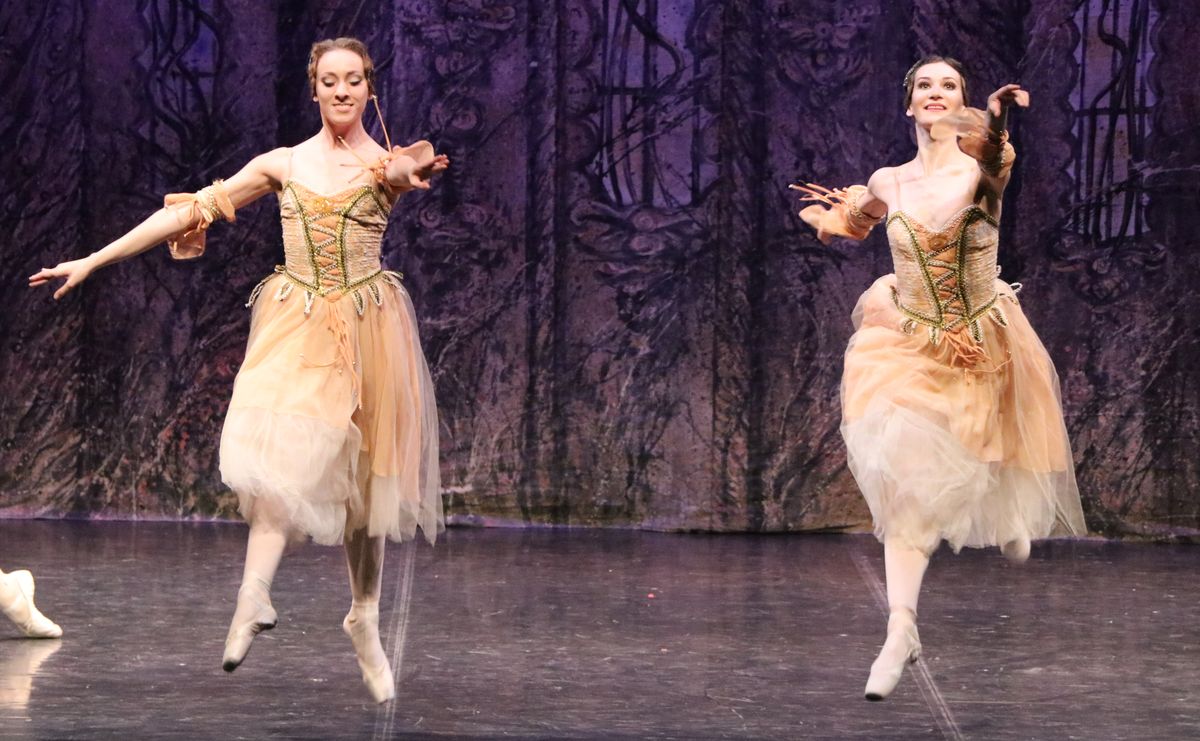 El Ballet Imperial Ruso ha ofrecido este domingo la Gran Gala Tchaykovsky en el Auditorio de León.