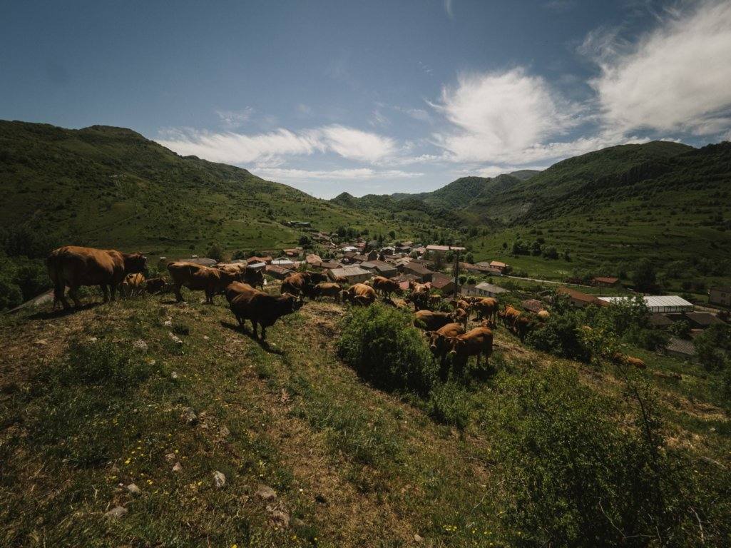 Fotos: El producto estrella de León, ahora también ecológico