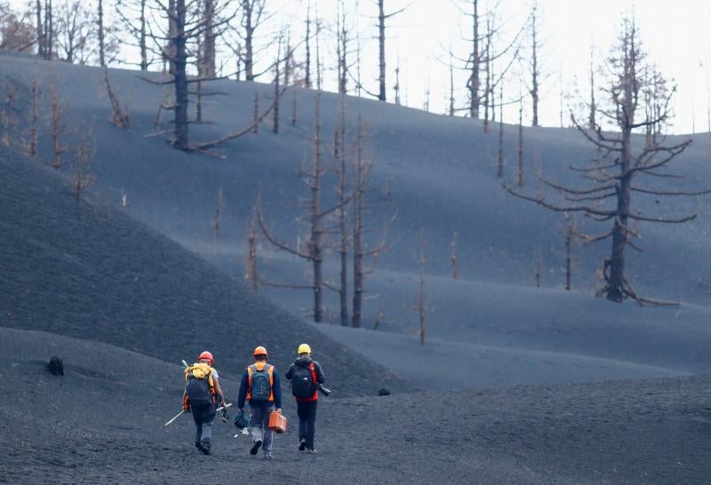 Fotos: La Palma sigue limpiando ceniza