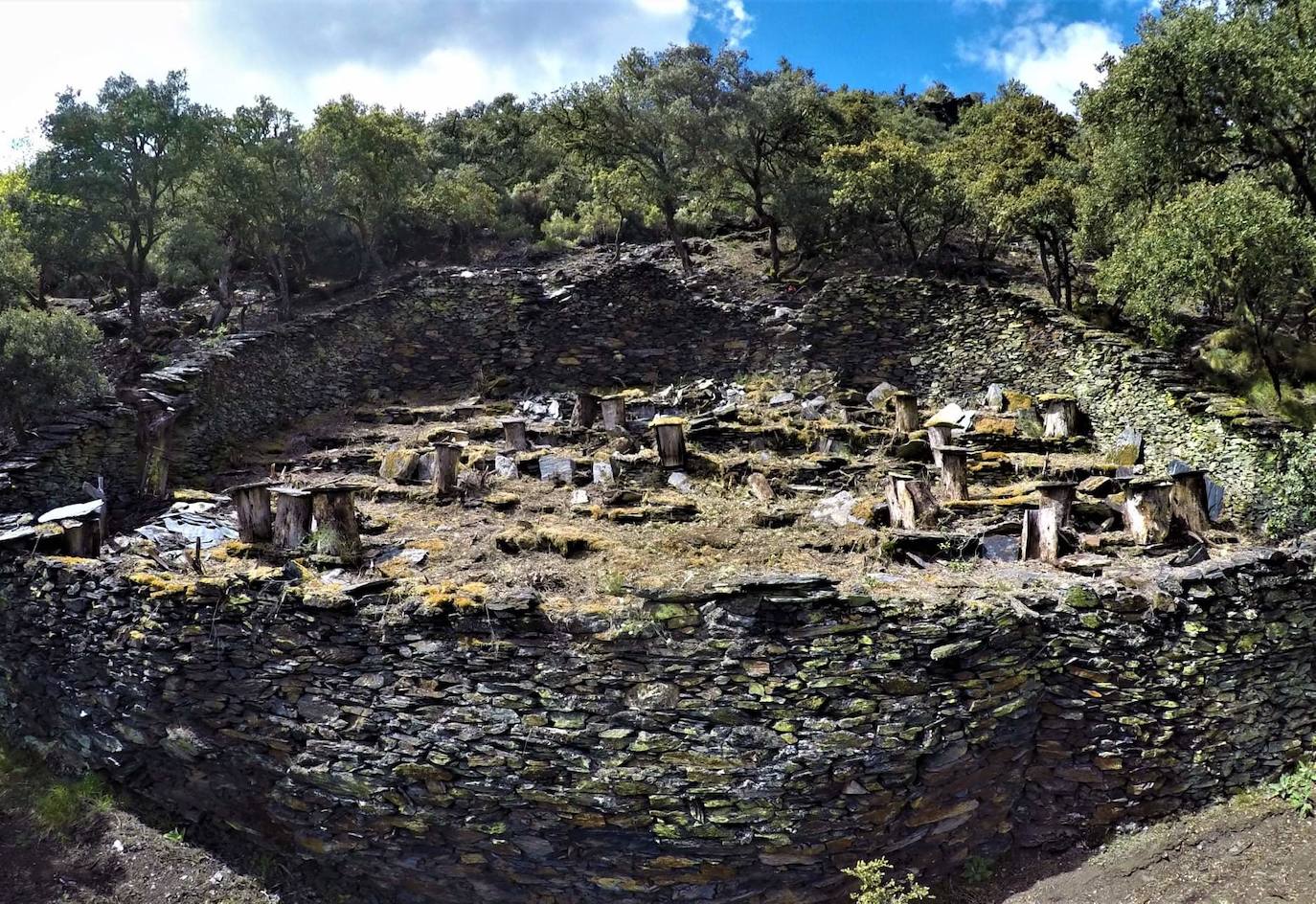 Conjunto de 17 cortines para proteger las colmenas de los ataques de osos hallados en la localidad berciana de Fonfría.