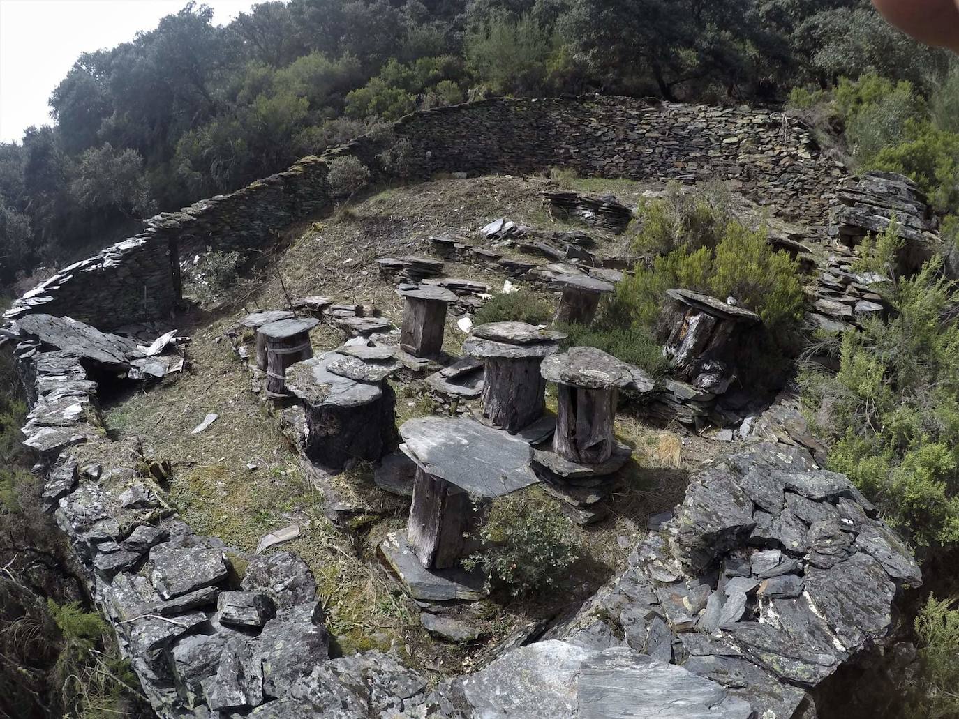 Conjunto de 17 cortines para proteger las colmenas de los ataques de osos hallados en la localidad berciana de Fonfría.