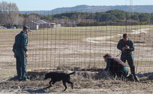 Los buzos, junto a un guía canino, con Arsa (una labrador), inspeccionan un pozo de Traspinedo. 