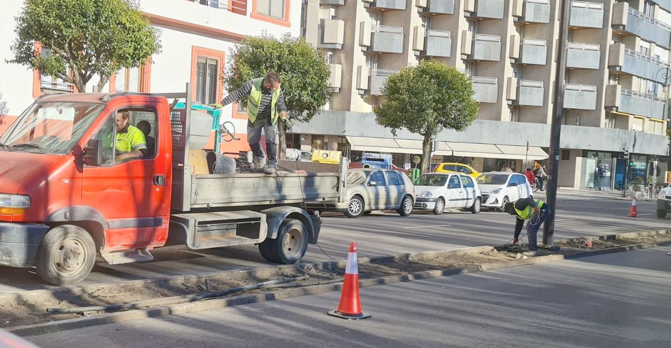 Las obras para retirar los setos de la avenida Conde Sagasta avanzan con rapidez y estarán terminadas en los próximos días.