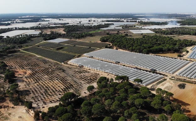 Fincas en el Parque Nacional de Doñana.