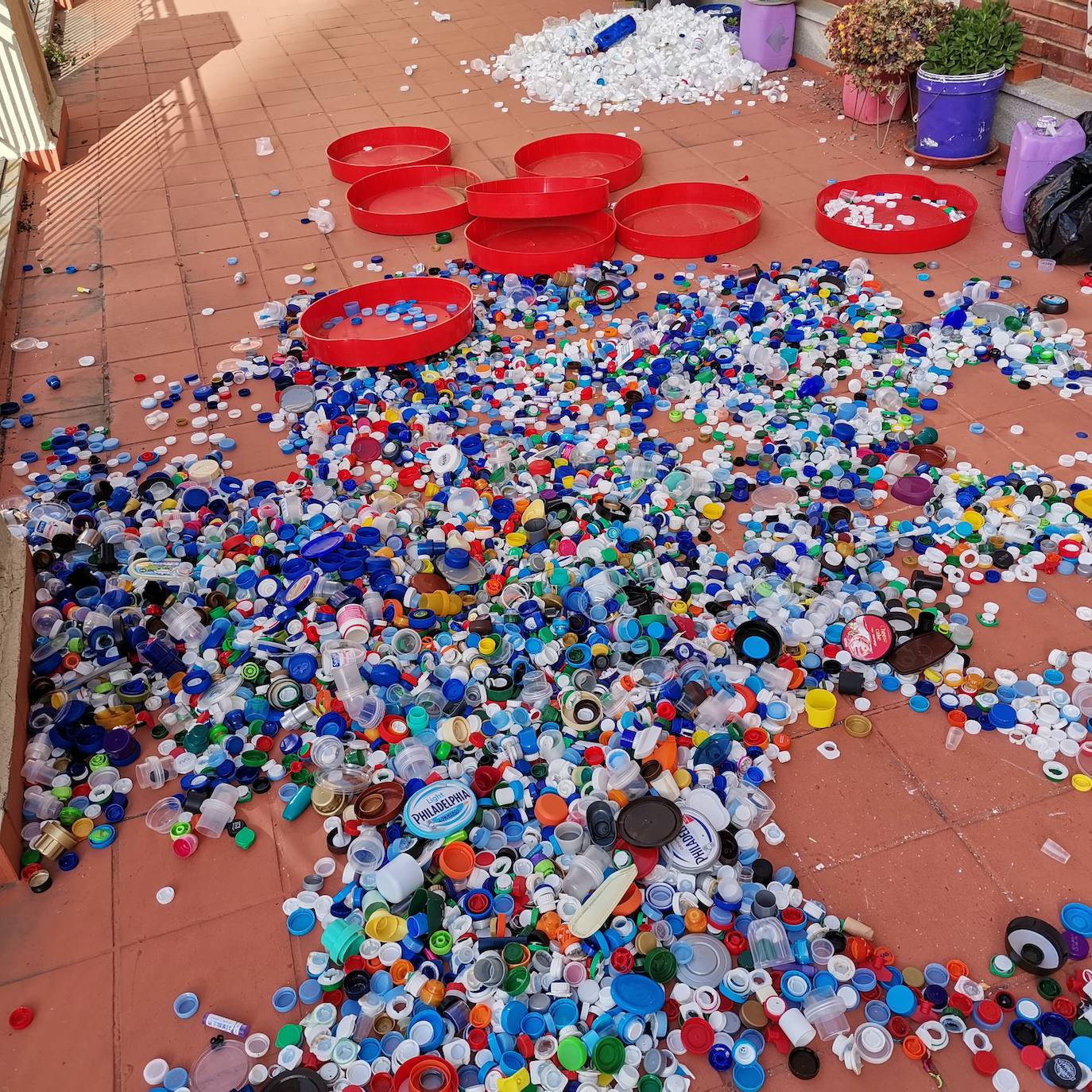 Proyecto artístico de reciclaje en Maristas San José.