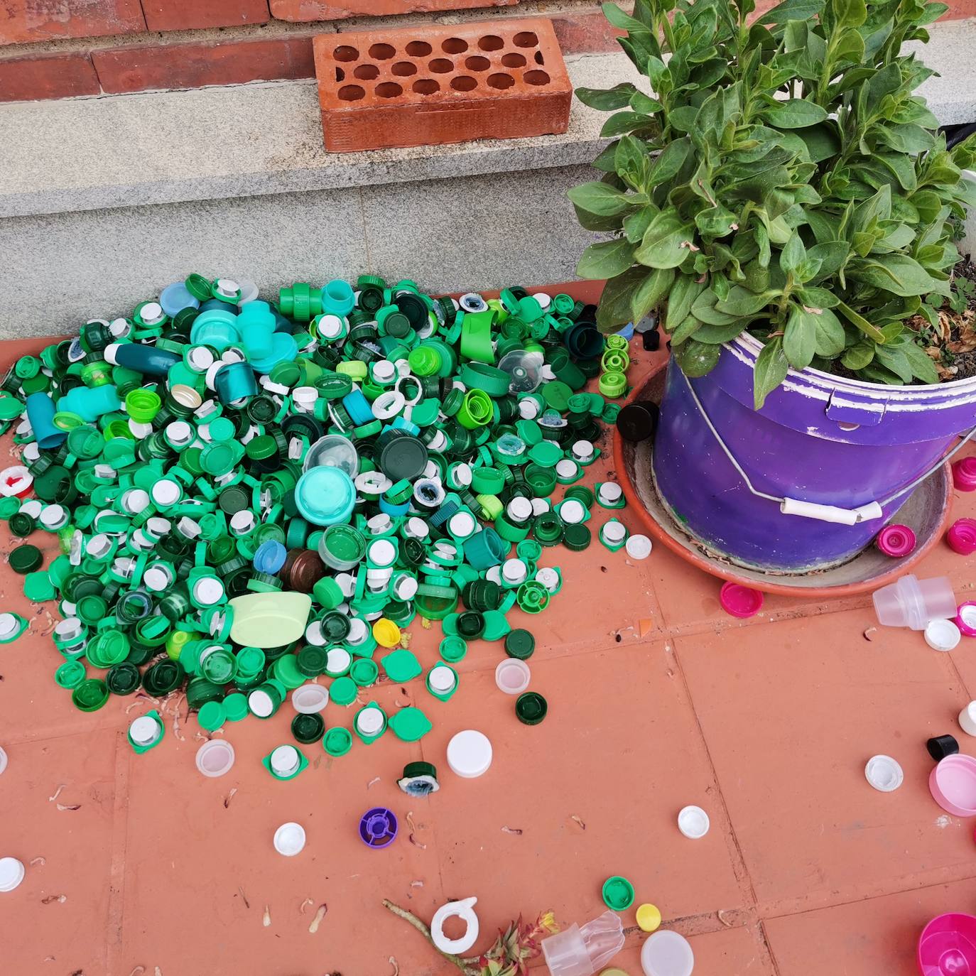 Proyecto artístico de reciclaje en Maristas San José.