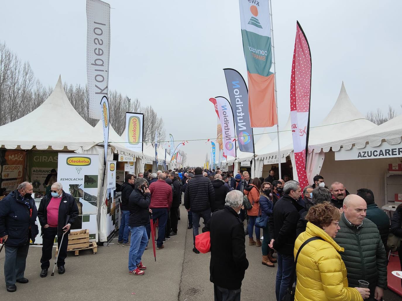 Valencia de Don Juan inaugura su tradicional Feria de Febrero. En su edición 101, este evento cuenta con más de 130 expositores divididos en dos espacios, uno en el tradicional complejo La Isla en el que se ubica la maquinaria agrícola y servicios relacionados con el sector primario y la exposición de vehículos y, el segundo, la Plaza Mayor que acoge un gran carpa para albergar stands de alimentación así como de multiservicios. 