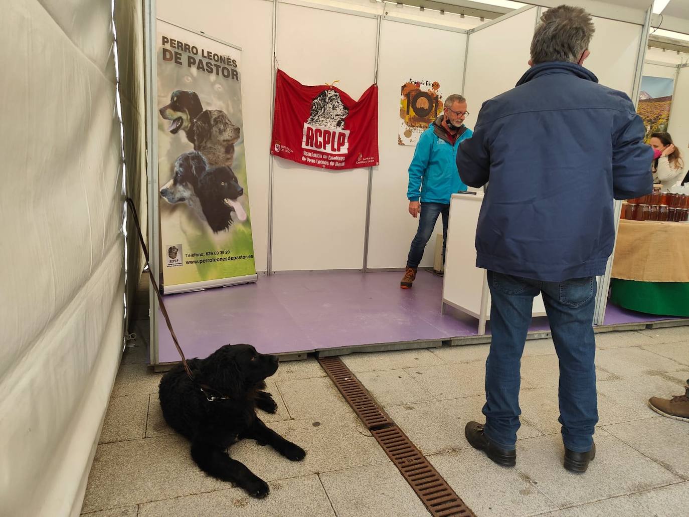 Valencia de Don Juan inaugura su tradicional Feria de Febrero. En su edición 101, este evento cuenta con más de 130 expositores divididos en dos espacios, uno en el tradicional complejo La Isla en el que se ubica la maquinaria agrícola y servicios relacionados con el sector primario y la exposición de vehículos y, el segundo, la Plaza Mayor que acoge un gran carpa para albergar stands de alimentación así como de multiservicios. 
