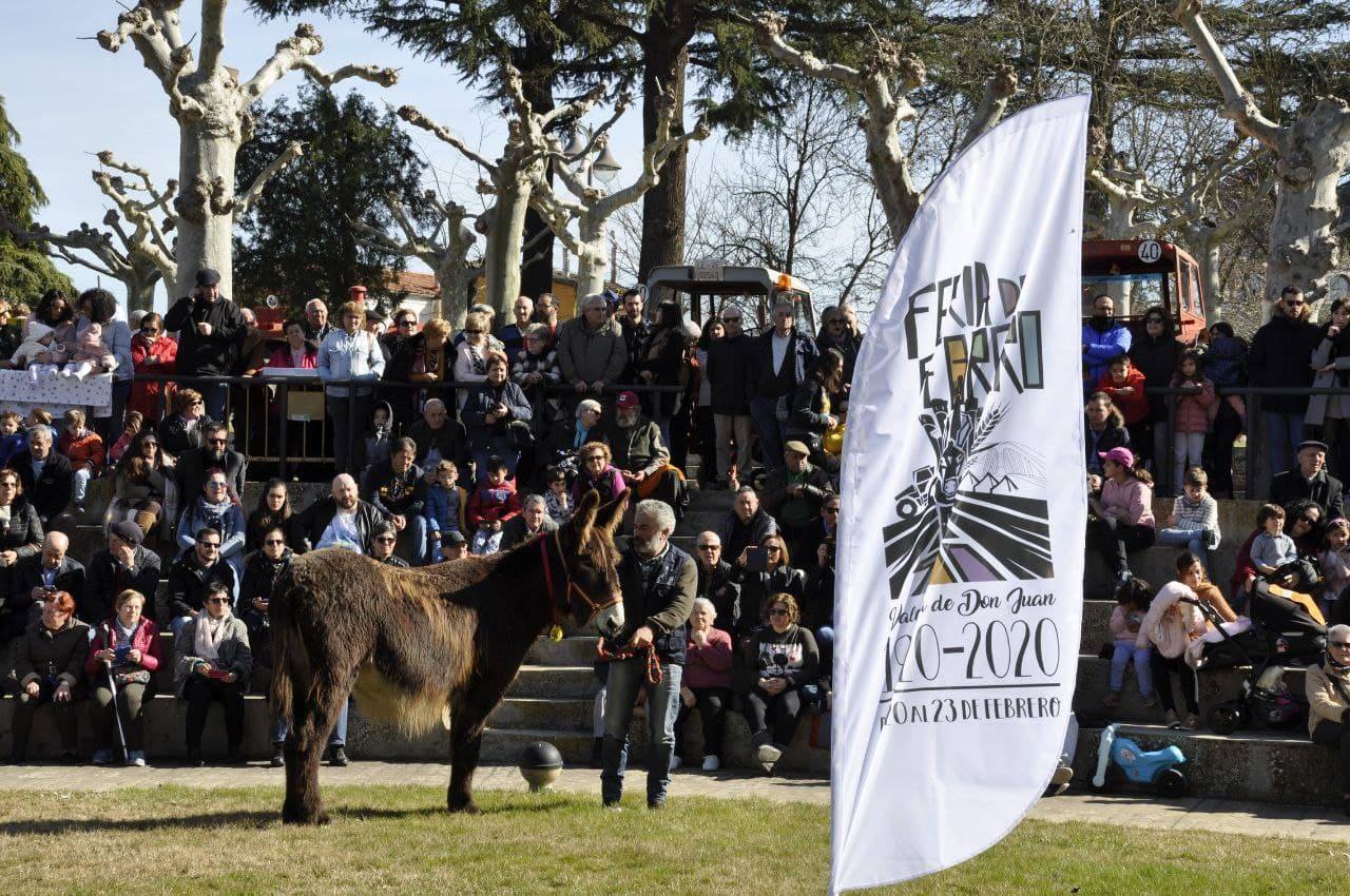 Este sábado 19 de febrero, a las 12:00 horas, junto a la exposición de tractores antiguos, en el entorno del Castillo se celebrará el II Concurso-Exposición de Burros de raza Zamorano-Leonesa.