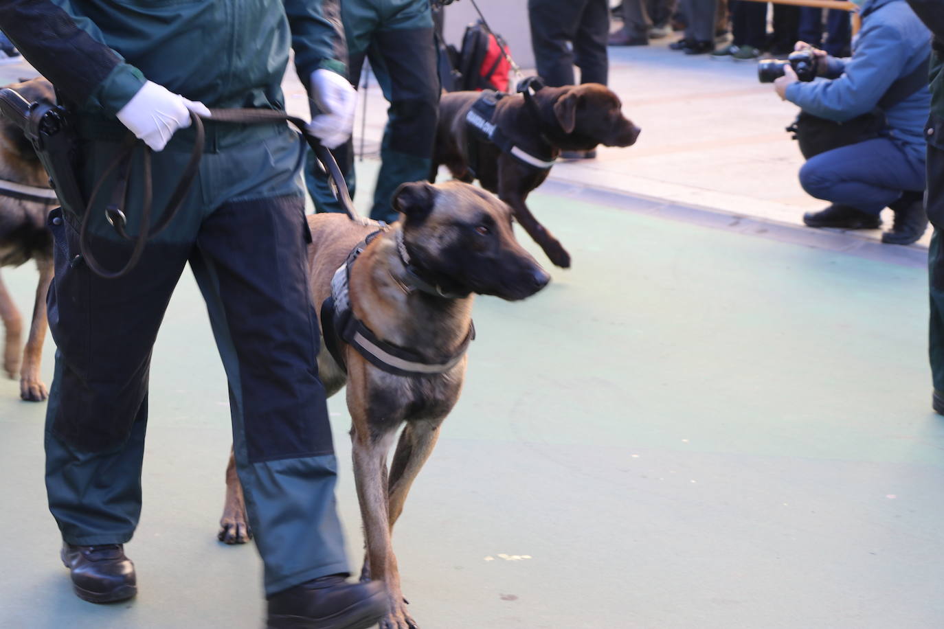 León cambia el nombre de la calle Capitán Cortés por el de Guardia Civil cumpliendo así con la ley de memoria histórica | La directora general del cuerpo, María Gámez Gámez, ha presidido el acto de descubirmiento de la nueva placa así como el desfile posterior por Ordoño II que ha congregado a decenas de personas.