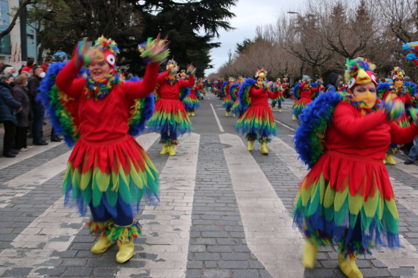Miles de personas han salido al paso del desfile que ha llenado las calles de luz y color.