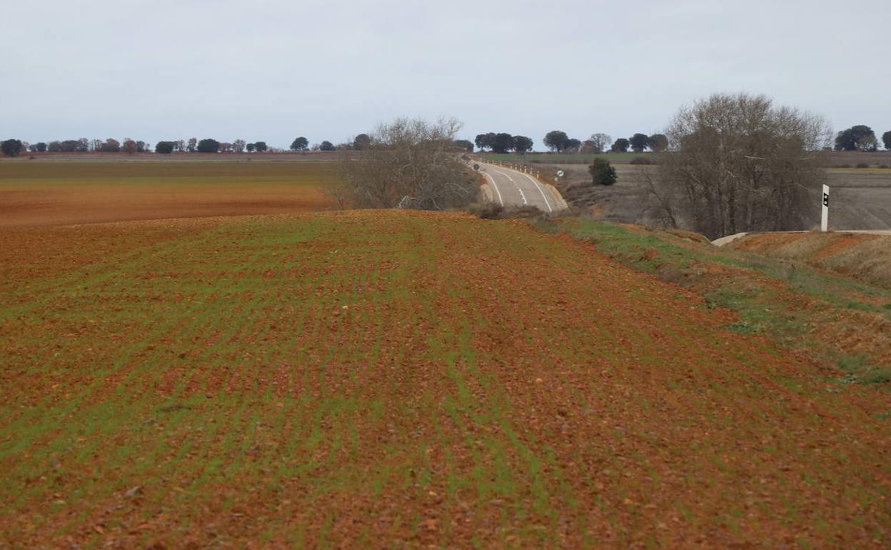 Imagen de archivo de un campo en el sur de la provincia leonesa. 